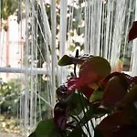 호텔 O Colmo