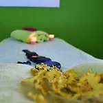 O Colmo 산타나