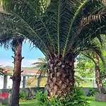 酒店 欧科尔莫酒店 4*