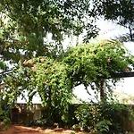 酒店 欧科尔莫酒店 4*