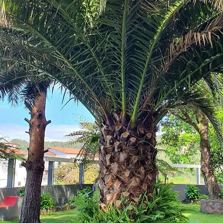 Ξενοδοχείο O Colmo 4*