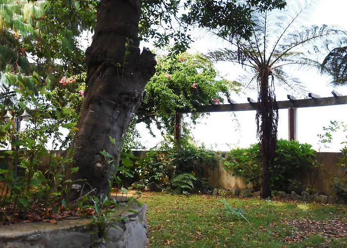 O Colmo Santana (Madeira)