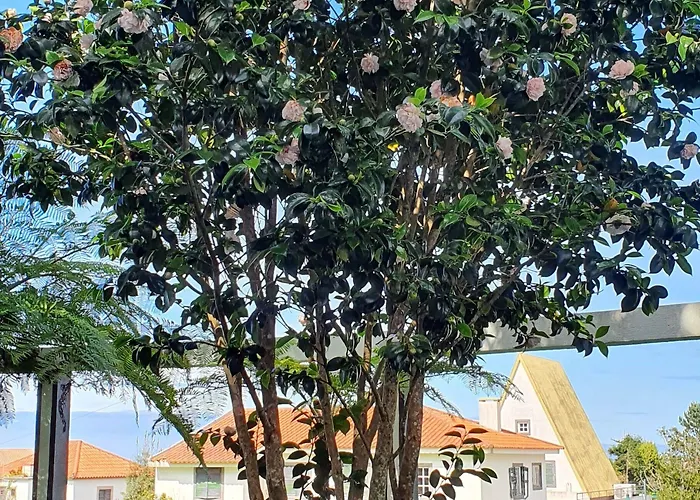 O Colmo Szálloda Santana